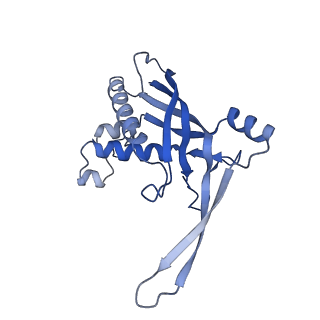 26920_7uzw_A_v1-1
Staphylococcus epidermidis RP62a CRISPR effector subcomplex