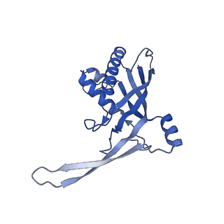 26920_7uzw_B_v1-1
Staphylococcus epidermidis RP62a CRISPR effector subcomplex