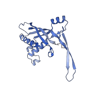 26920_7uzw_C_v1-1
Staphylococcus epidermidis RP62a CRISPR effector subcomplex