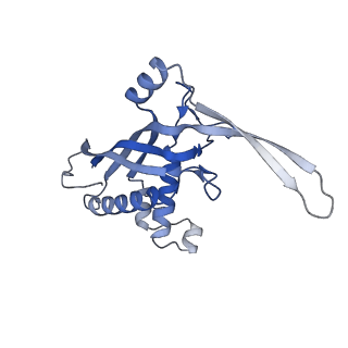 26920_7uzw_D_v1-1
Staphylococcus epidermidis RP62a CRISPR effector subcomplex