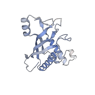 26920_7uzw_E_v1-1
Staphylococcus epidermidis RP62a CRISPR effector subcomplex