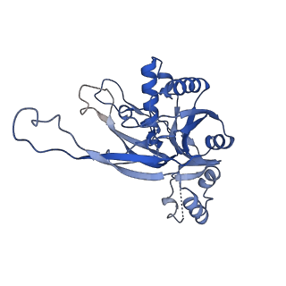 26920_7uzw_H_v1-1
Staphylococcus epidermidis RP62a CRISPR effector subcomplex