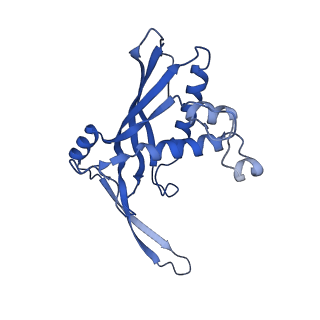 26921_7uzx_A_v1-1
Staphylococcus epidermidis RP62a CRISPR effector subcomplex with non-self target RNA bound