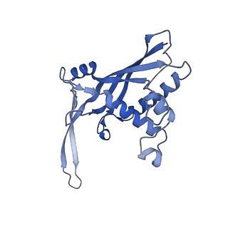 26921_7uzx_C_v1-1
Staphylococcus epidermidis RP62a CRISPR effector subcomplex with non-self target RNA bound