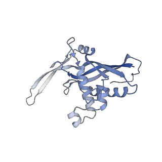 26921_7uzx_D_v1-1
Staphylococcus epidermidis RP62a CRISPR effector subcomplex with non-self target RNA bound