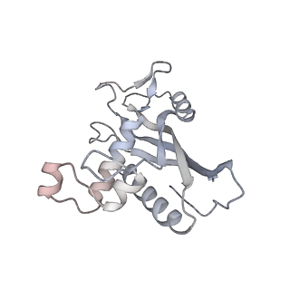 26921_7uzx_E_v1-1
Staphylococcus epidermidis RP62a CRISPR effector subcomplex with non-self target RNA bound