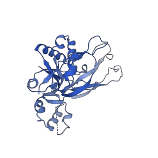 26921_7uzx_H_v1-1
Staphylococcus epidermidis RP62a CRISPR effector subcomplex with non-self target RNA bound