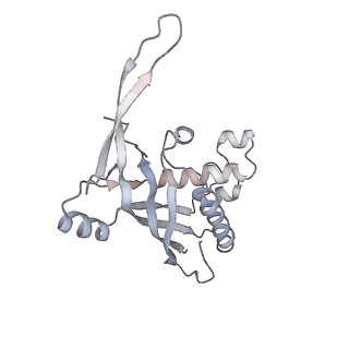 26922_7uzy_A_v1-1
Staphylococcus epidermidis RP62A CRISPR effector complex with non-self target RNA 2