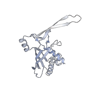 26922_7uzy_B_v1-1
Staphylococcus epidermidis RP62A CRISPR effector complex with non-self target RNA 2