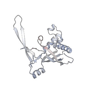 26922_7uzy_C_v1-1
Staphylococcus epidermidis RP62A CRISPR effector complex with non-self target RNA 2