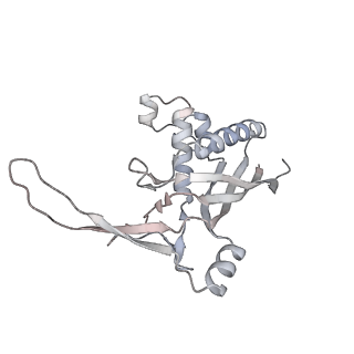 26922_7uzy_D_v1-1
Staphylococcus epidermidis RP62A CRISPR effector complex with non-self target RNA 2