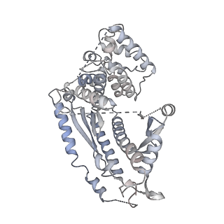 26922_7uzy_F_v1-1
Staphylococcus epidermidis RP62A CRISPR effector complex with non-self target RNA 2
