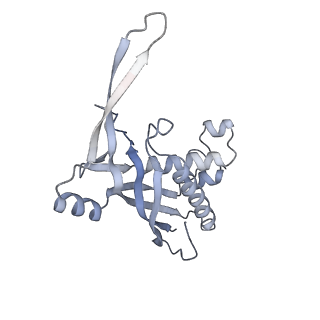 26923_7uzz_A_v1-1
Staphylococcus epidermidis RP62a CRISPR tall effector complex