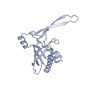 26923_7uzz_B_v1-1
Staphylococcus epidermidis RP62a CRISPR tall effector complex