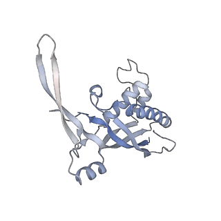 26923_7uzz_C_v1-1
Staphylococcus epidermidis RP62a CRISPR tall effector complex