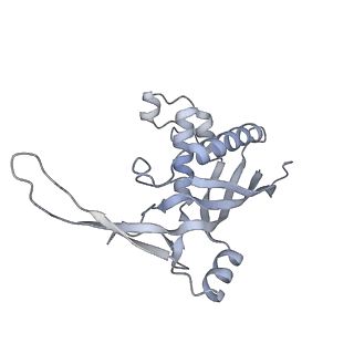 26923_7uzz_D_v1-1
Staphylococcus epidermidis RP62a CRISPR tall effector complex