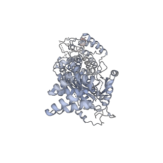 26923_7uzz_F_v1-1
Staphylococcus epidermidis RP62a CRISPR tall effector complex