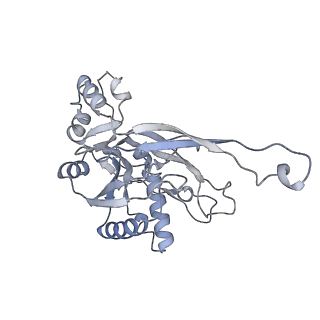 26923_7uzz_H_v1-1
Staphylococcus epidermidis RP62a CRISPR tall effector complex