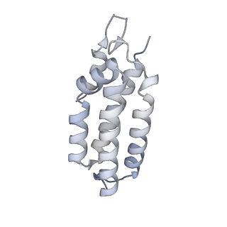 26923_7uzz_K_v1-1
Staphylococcus epidermidis RP62a CRISPR tall effector complex
