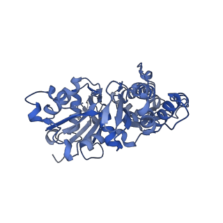 42829_8uz0_J_v1-2
Straight actin filament from Arp2/3 branch junction sample (ADP)