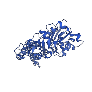 42829_8uz0_K_v1-0
Straight actin filament from Arp2/3 branch junction sample (ADP)