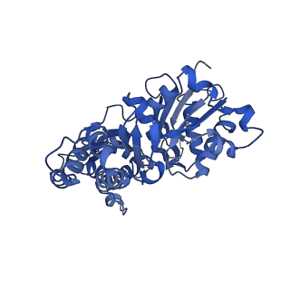 42829_8uz0_K_v1-2
Straight actin filament from Arp2/3 branch junction sample (ADP)