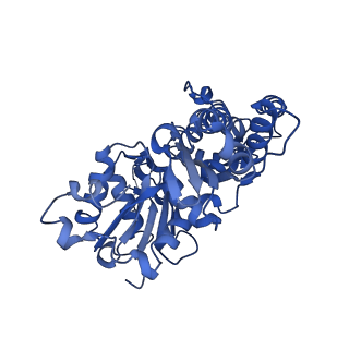 42829_8uz0_L_v1-2
Straight actin filament from Arp2/3 branch junction sample (ADP)