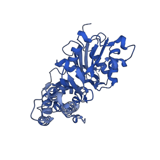 42829_8uz0_M_v1-0
Straight actin filament from Arp2/3 branch junction sample (ADP)