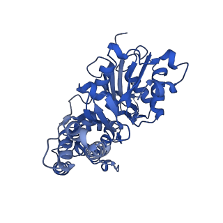 42829_8uz0_M_v1-2
Straight actin filament from Arp2/3 branch junction sample (ADP)