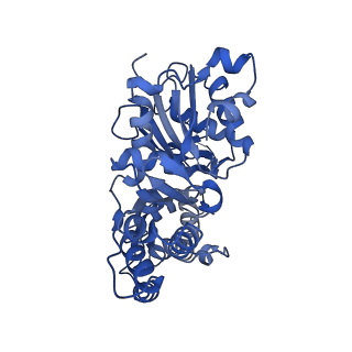 42829_8uz0_O_v1-2
Straight actin filament from Arp2/3 branch junction sample (ADP)