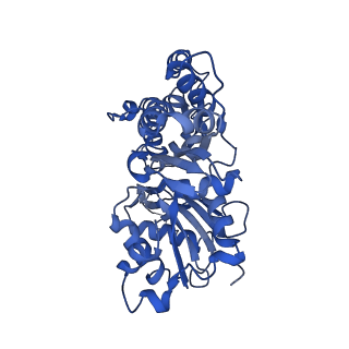 42829_8uz0_P_v1-0
Straight actin filament from Arp2/3 branch junction sample (ADP)