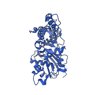 42829_8uz0_P_v1-2
Straight actin filament from Arp2/3 branch junction sample (ADP)