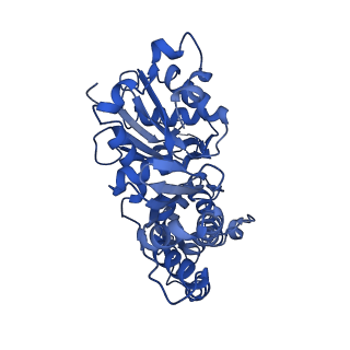 42829_8uz0_Q_v1-2
Straight actin filament from Arp2/3 branch junction sample (ADP)