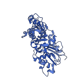 42829_8uz0_R_v1-0
Straight actin filament from Arp2/3 branch junction sample (ADP)