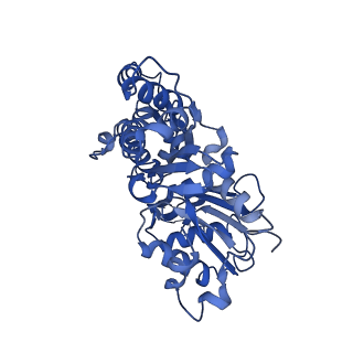 42829_8uz0_R_v1-2
Straight actin filament from Arp2/3 branch junction sample (ADP)