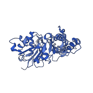 42830_8uz1_J_v1-0
Straight actin filament from Arp2/3 branch junction sample (ADP-BeFx)