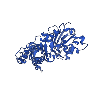 42830_8uz1_K_v1-2
Straight actin filament from Arp2/3 branch junction sample (ADP-BeFx)