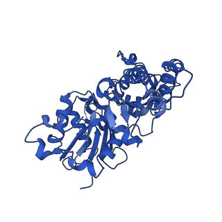 42830_8uz1_L_v1-0
Straight actin filament from Arp2/3 branch junction sample (ADP-BeFx)