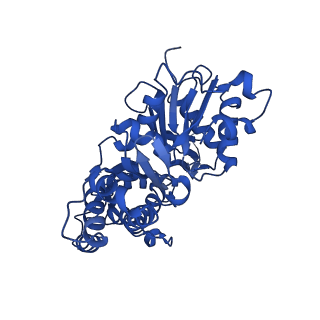 42830_8uz1_M_v1-0
Straight actin filament from Arp2/3 branch junction sample (ADP-BeFx)