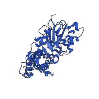 42830_8uz1_M_v1-2
Straight actin filament from Arp2/3 branch junction sample (ADP-BeFx)