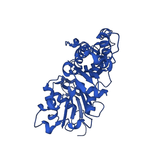 42830_8uz1_N_v1-0
Straight actin filament from Arp2/3 branch junction sample (ADP-BeFx)