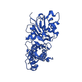 42830_8uz1_O_v1-0
Straight actin filament from Arp2/3 branch junction sample (ADP-BeFx)