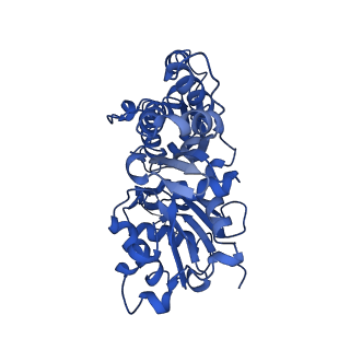 42830_8uz1_P_v1-0
Straight actin filament from Arp2/3 branch junction sample (ADP-BeFx)