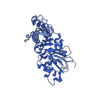 42830_8uz1_R_v1-0
Straight actin filament from Arp2/3 branch junction sample (ADP-BeFx)