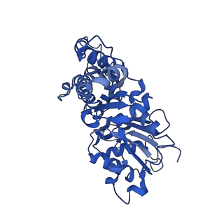 42830_8uz1_R_v1-2
Straight actin filament from Arp2/3 branch junction sample (ADP-BeFx)