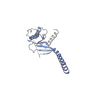 8623_5uz7_A_v1-2
Volta phase plate cryo-electron microscopy structure of a calcitonin receptor-heterotrimeric Gs protein complex