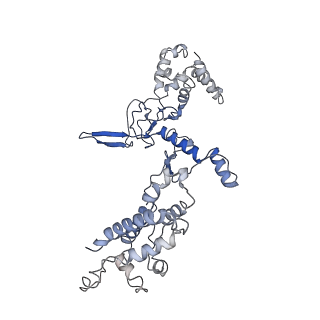 8624_5uz9_A_v1-2
Cryo EM structure of anti-CRISPRs, AcrF1 and AcrF2, bound to type I-F crRNA-guided CRISPR surveillance complex
