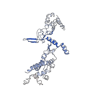 8624_5uz9_A_v2-1
Cryo EM structure of anti-CRISPRs, AcrF1 and AcrF2, bound to type I-F crRNA-guided CRISPR surveillance complex