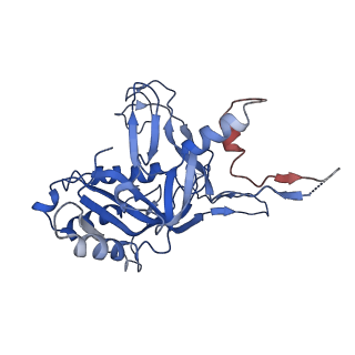 8624_5uz9_B_v1-2
Cryo EM structure of anti-CRISPRs, AcrF1 and AcrF2, bound to type I-F crRNA-guided CRISPR surveillance complex