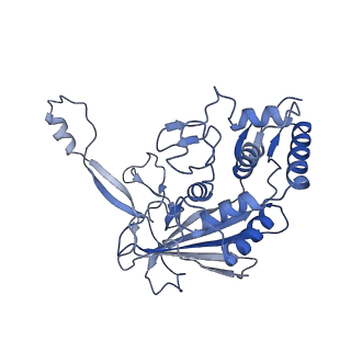8624_5uz9_D_v1-2
Cryo EM structure of anti-CRISPRs, AcrF1 and AcrF2, bound to type I-F crRNA-guided CRISPR surveillance complex